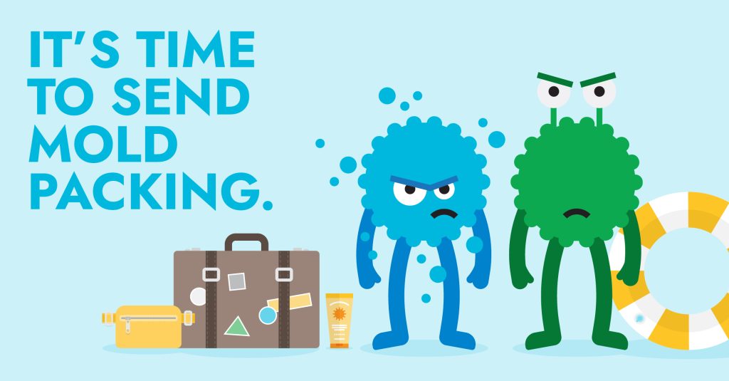 Greetings from Mold Paradise