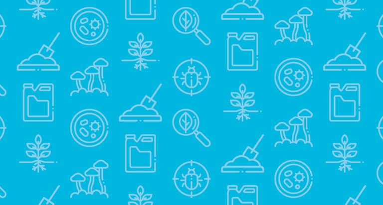 Lack of Unified Standards and Measures Presents Challenges and Opportunities