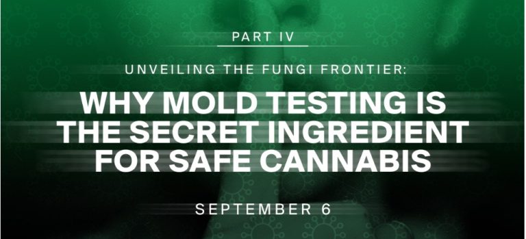 The Secret Ingredient