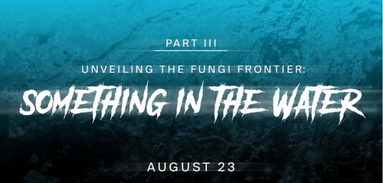 Something in the Water